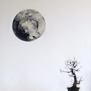 Bonsai