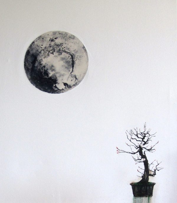 Bonsai
