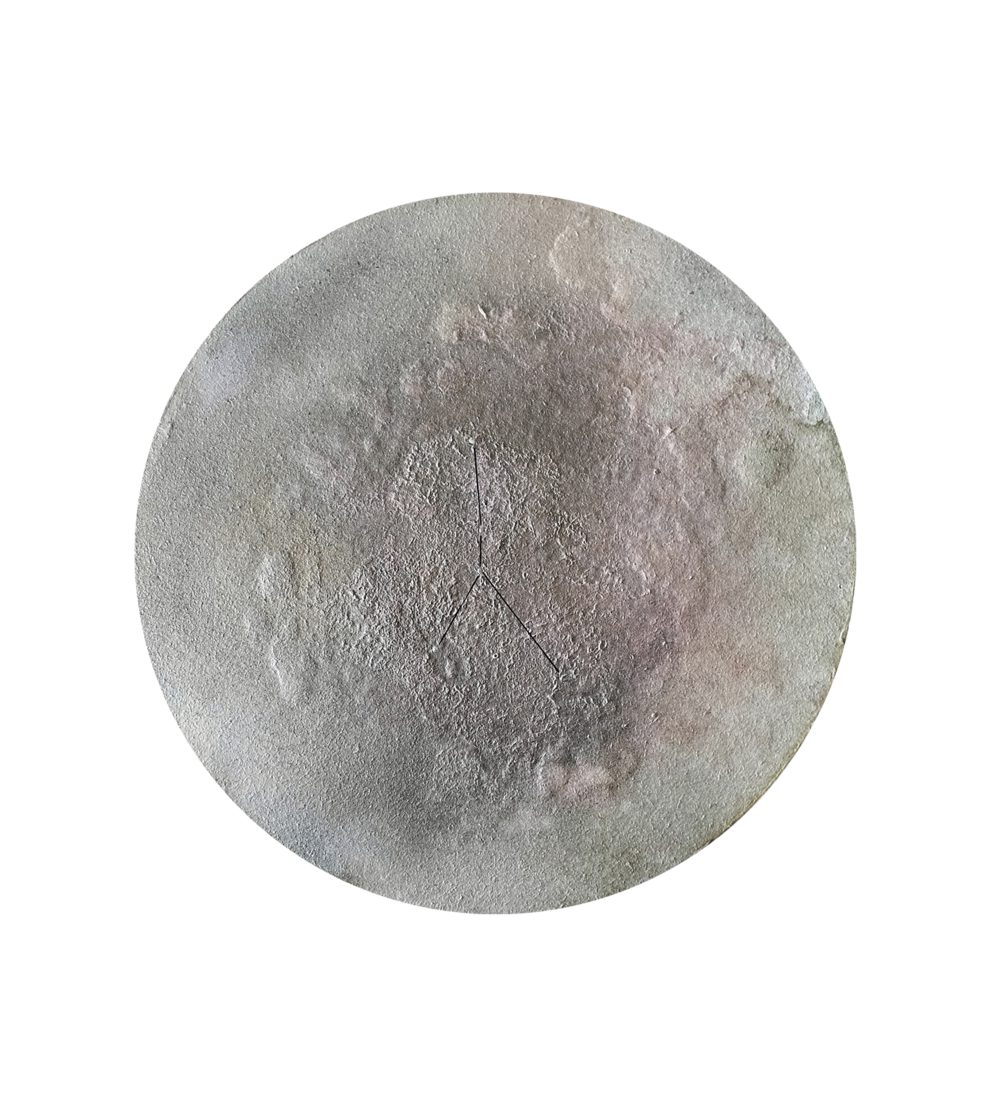 Constel·lació de Cranc