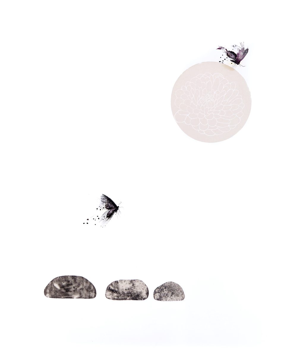 Florida eterna, jardí de pedres