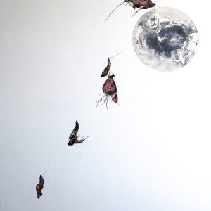 Metamorfosi